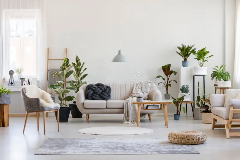 Home & Living
